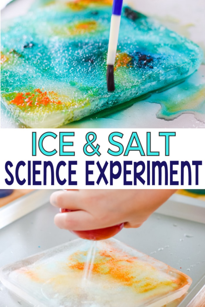 Looking for ocean themed activities for preschoolers? Look no further, here are 50 activities you and your preschooler will both enjoy!
