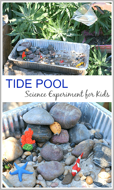 Looking for ocean themed activities for preschoolers? Look no further, here are 50 activities you and your preschooler will both enjoy!