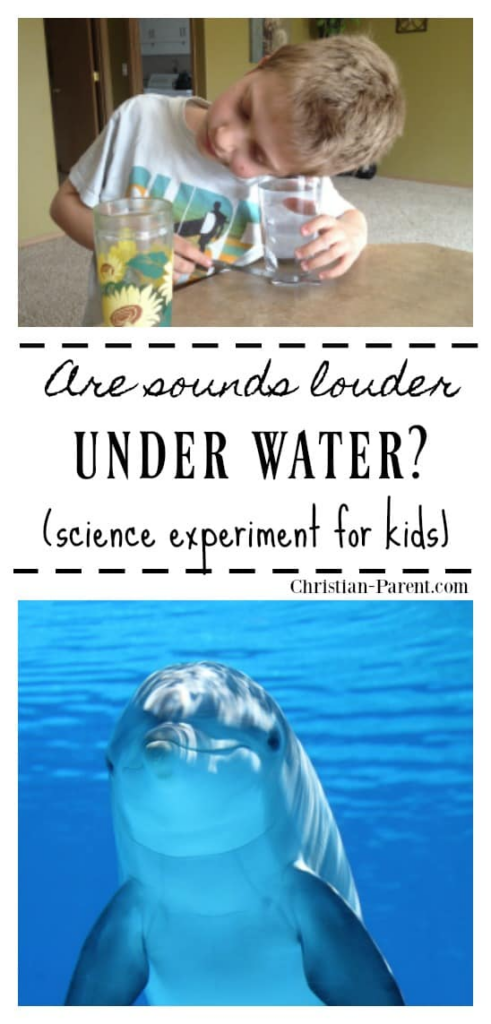 Looking for ocean themed activities for preschoolers? Look no further, here are 50 activities you and your preschooler will both enjoy!