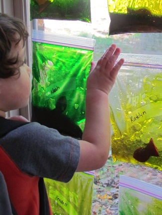 Looking for ocean themed activities for preschoolers? Look no further, here are 50 activities you and your preschooler will both enjoy!