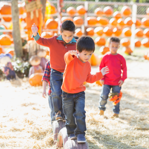 To help you plan the perfect day at a farm festival with young kids in tow, we've created a free printable interactive scavenger hunt list just for them.
