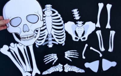 18 Skeleton Printables for Kids: Learning and Decorating Printables