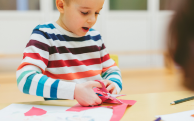 The Differences Between Left and Right Handed Scissors