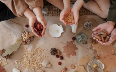 37 + Fun & Educational Nature Activities for Preschoolers