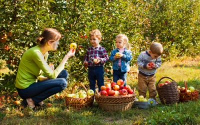 Fun & Simple Preschool Apple Activities