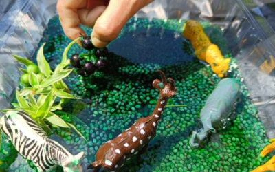 Zoo Animal Sensory Activities For Preschool