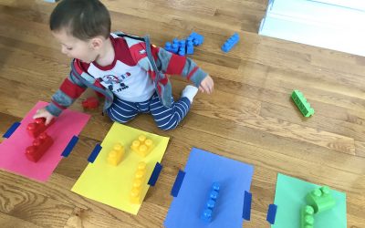 Sorting and Matching Colors for Toddlers